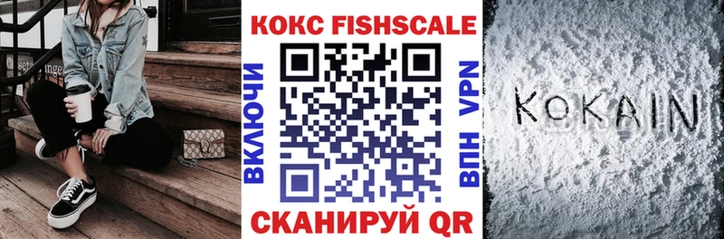 COCAIN Fish Scale  закладки  Невьянск 