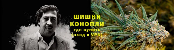 PSILOCYBIN Алексеевка